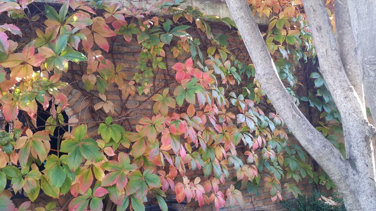 El Jardin De La Abuela Hébergement de vacances *
