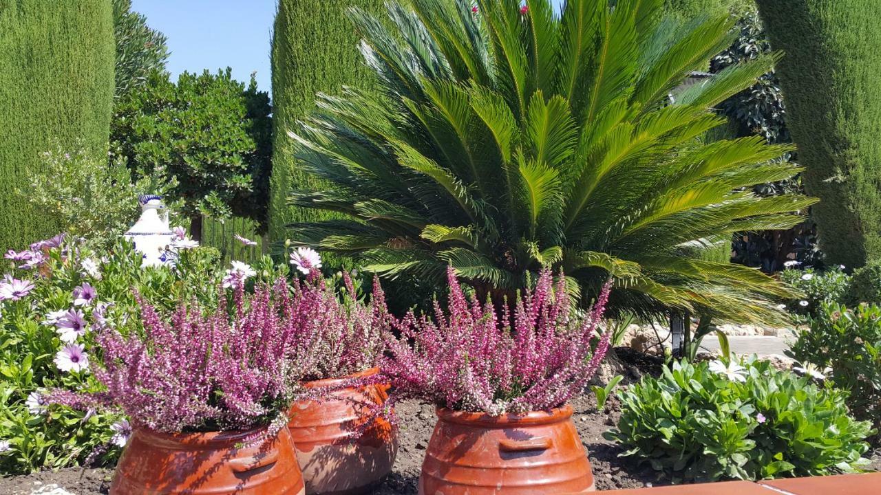El Jardin De La Abuela * Grenade
