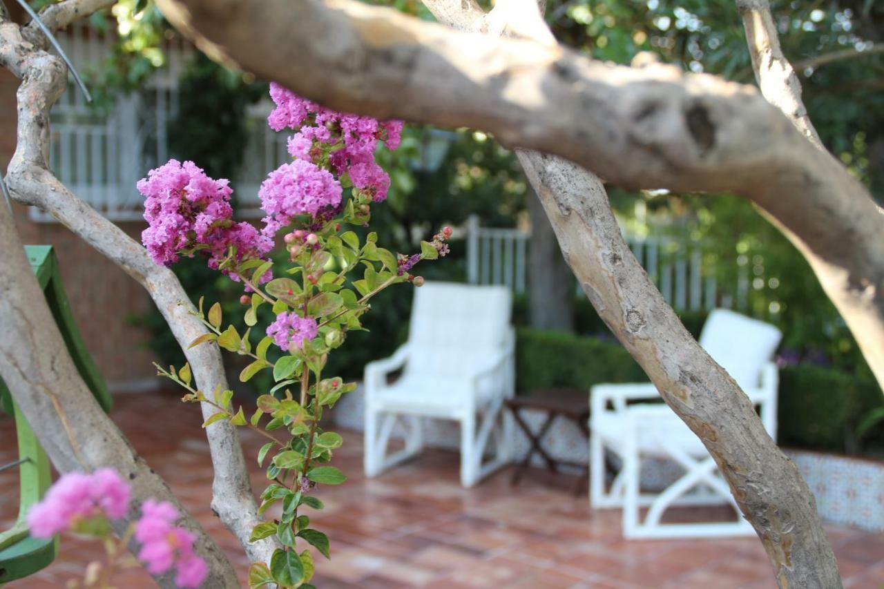 Holiday home El Jardin De La Abuela