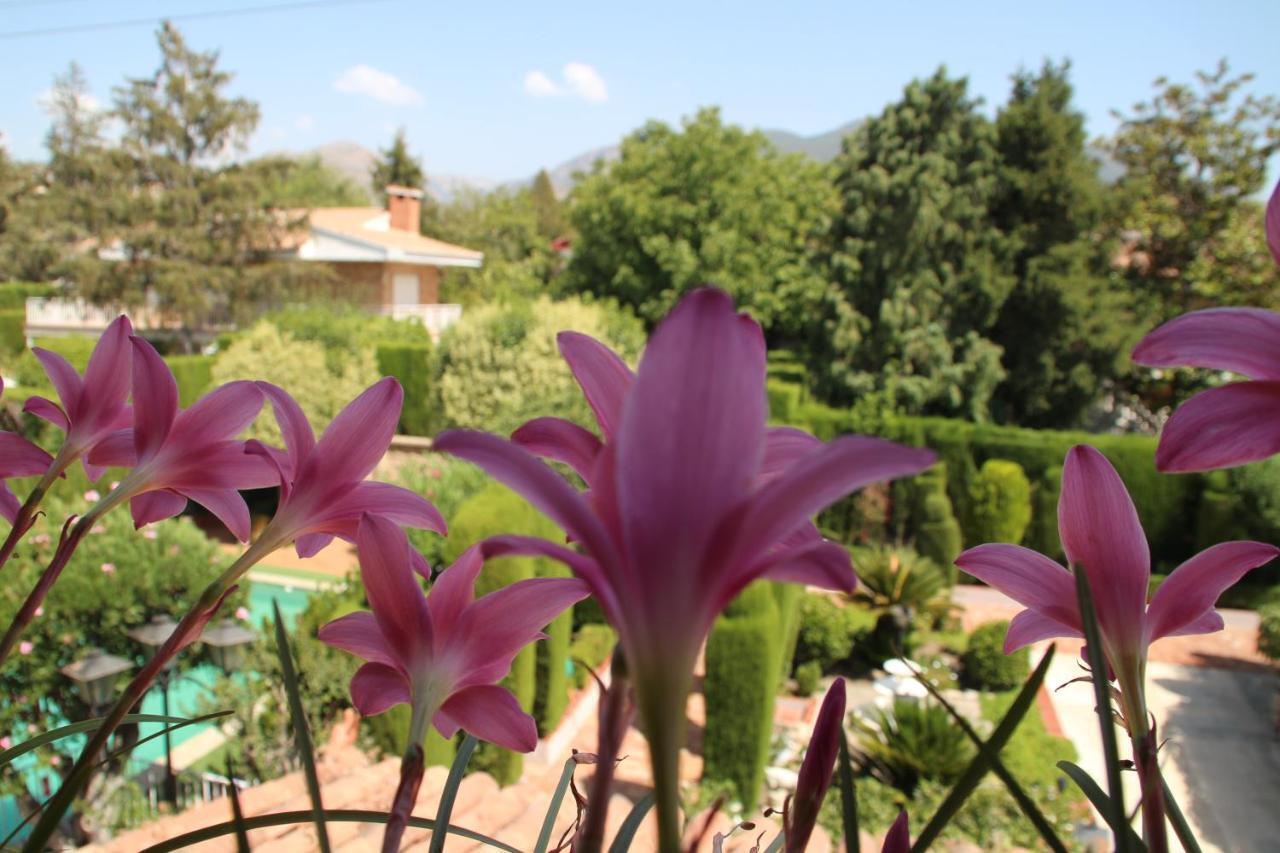El Jardin De La Abuela Holiday home