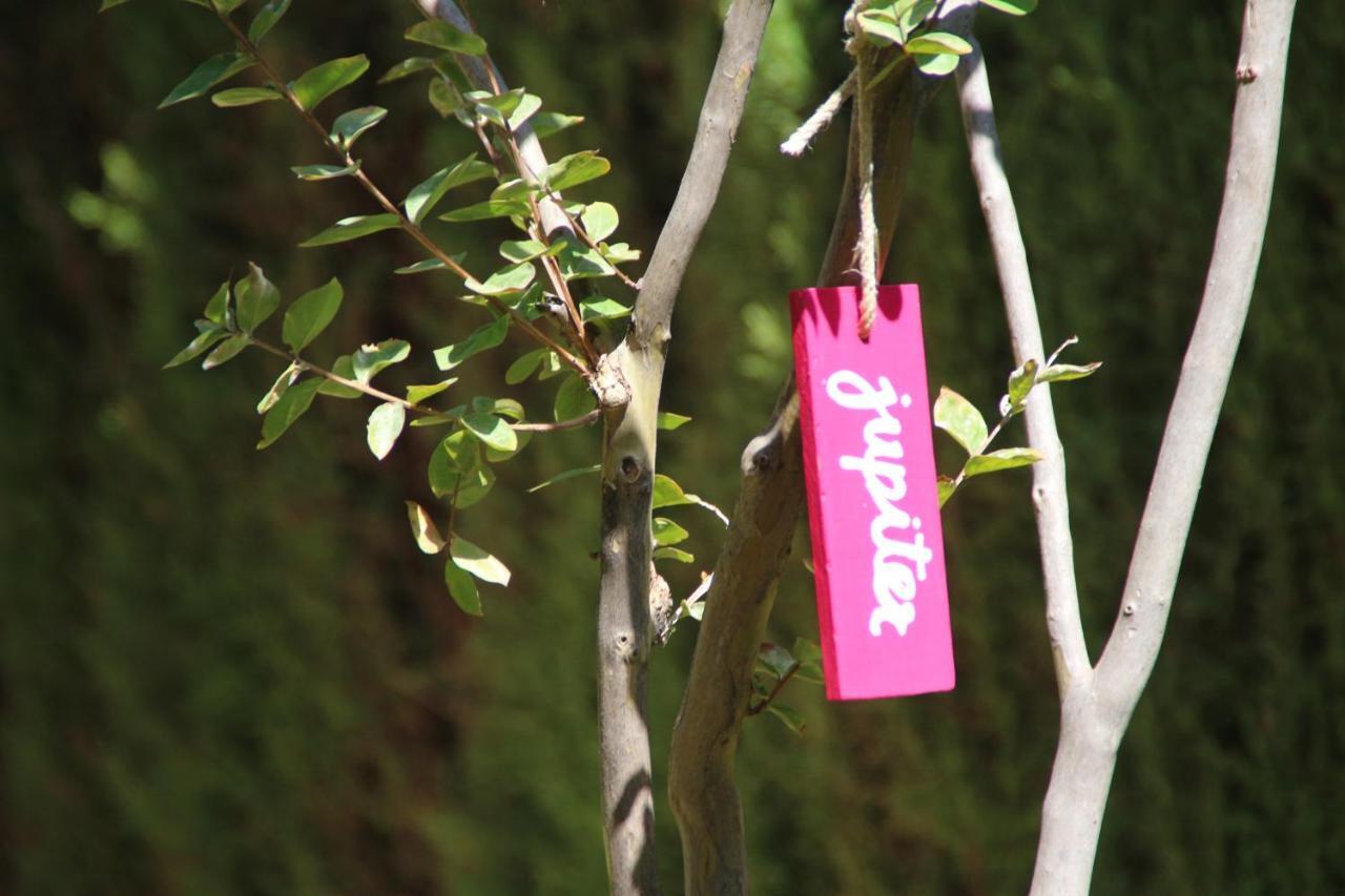El Jardin De La Abuela Holiday home